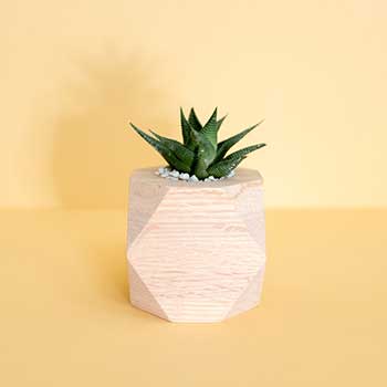 自动攻击网站工具下载